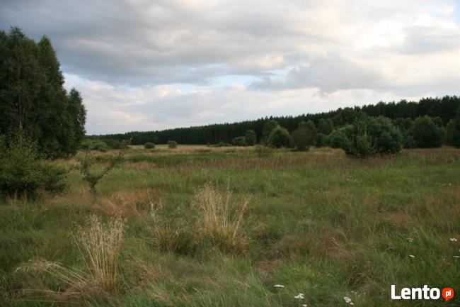 Działka nad jeziorem Czaplinek Pojezierze Drawskie