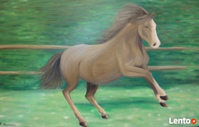 Obraz olejny na płótnie Koń konik na łące