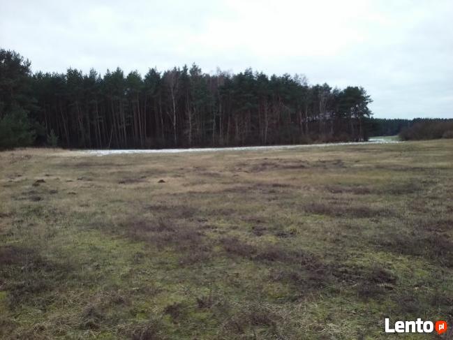 działka budowlana przy lesie w Murzynowie (lubuskie)