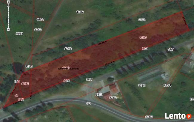 Działka Żary 11 554 m2