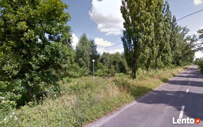 Działka Żary 11 554 m2