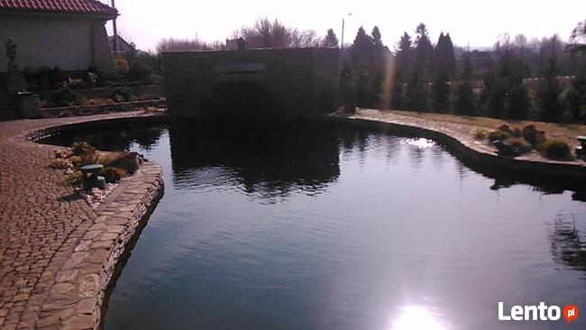 budowa oczek wodnych i stawów