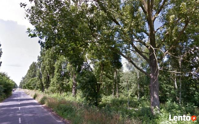 Działka Żary 11 554 m2