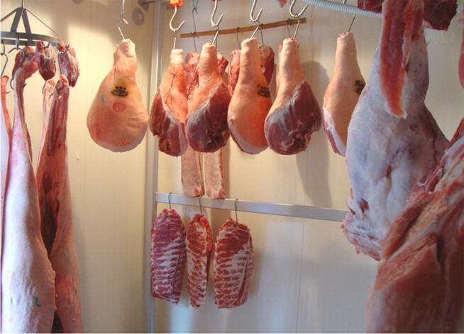 Biznes we Włoszech kompleks produkcji wyrobów mięsnych