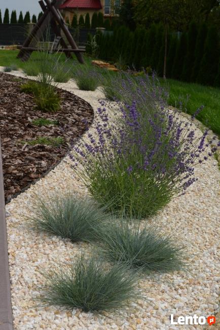 Projektowanie i zakładanie ogrodów - Rzeszów i okolice