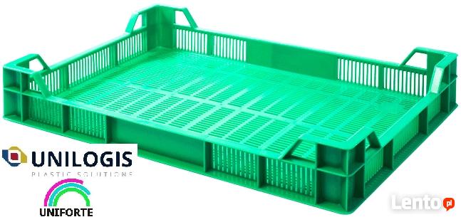 Skrzynki plastikowe grzyby maliny borówki 5kg 60x40x10 N-100