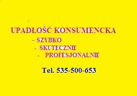 Upadłość Konsumencka