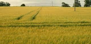 POMOC PRAWNA dla każdego