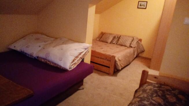 Krynica Zdrój, pokoje gośinne w centrum