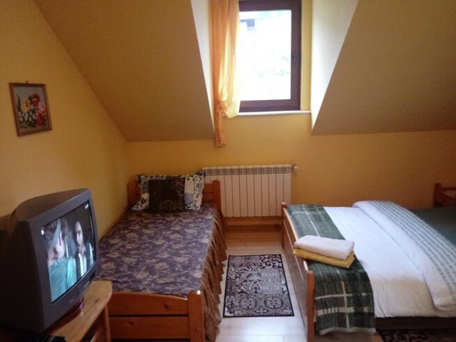 Krynica Zdrój, pokoje gośinne w centrum