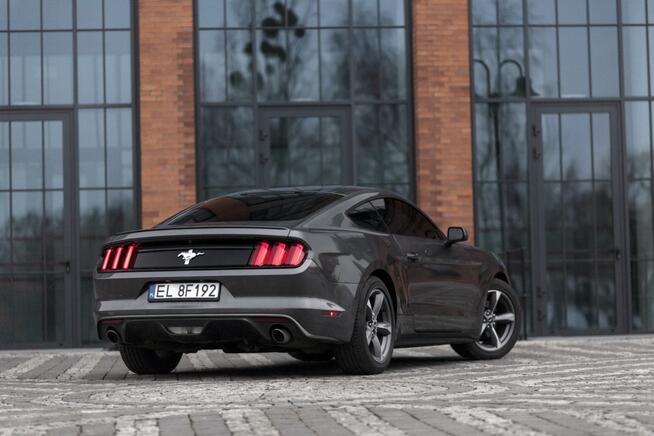 Ford Mustang Wynajem ŁÓDŹ