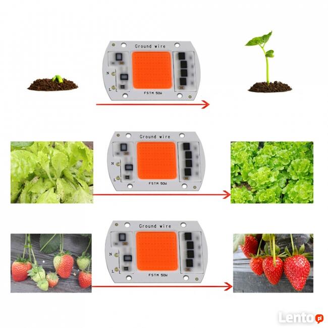 Dioda COB 30W FUL Spectrum 230V DO UPRAWY ROŚLIN