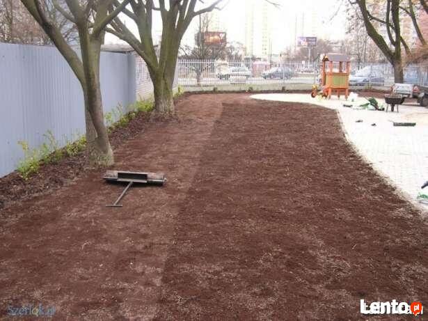 Zakładanie trawnika