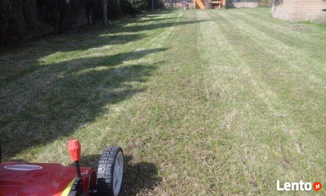 Renowacja trawnika