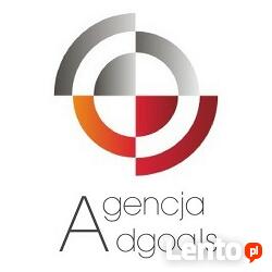 Kreowanie Marki w Internecie. Partner w Sprzedaży online