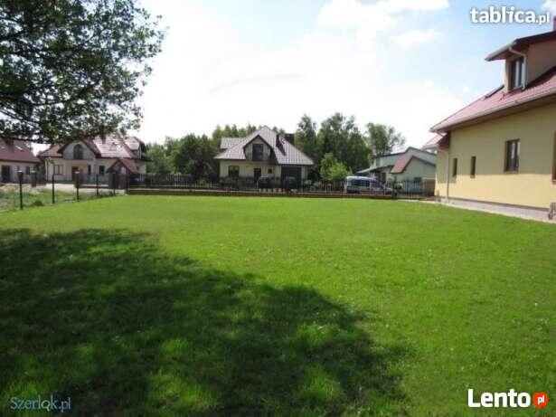 Zakładanie trawnika