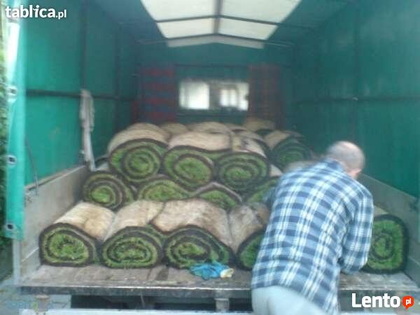 Zakładanie trawnika