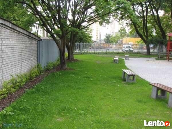 Zakładanie trawnika