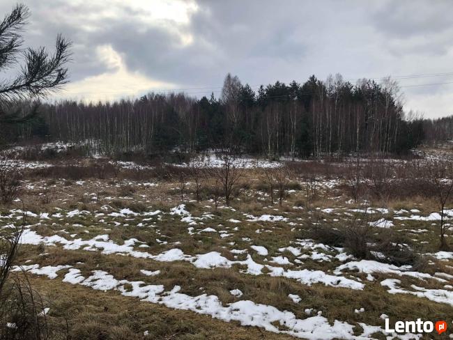 Działka rolno-budowlana.