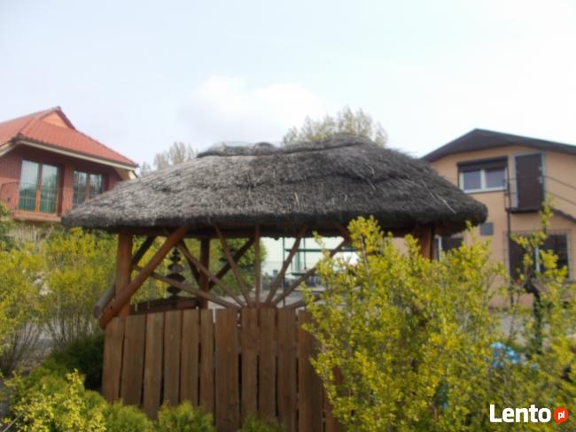 Dachy trzcinowe trzcina remont dachu