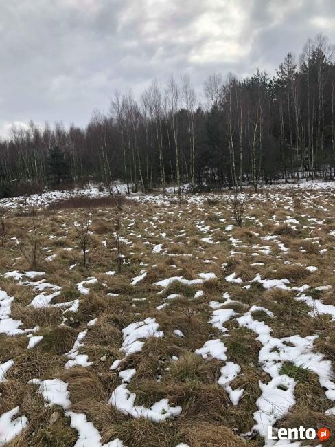 Działka rolno-budowlana.