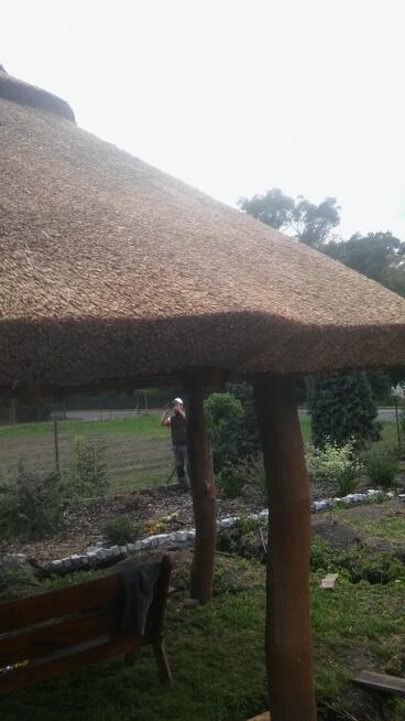 Dachy trzcinowe trzcina remont dachu