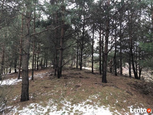 Działka rolno-budowlana.