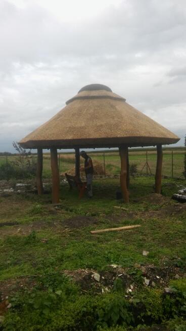 Dachy trzcinowe trzcina remont dachu