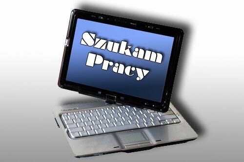 szukam pracy