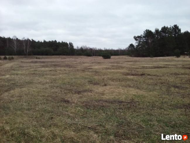 sprzedam działkę budowlaną w Murzynowie