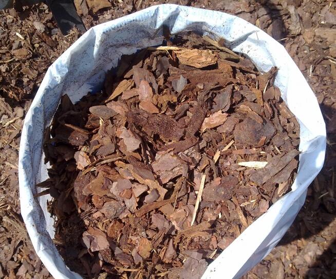 KORA SOSNOWA60L. ZIEMIA TORF