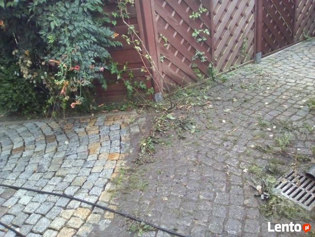 Zgorzelec sprzątanie /domy, biura, witryny/ mycie kostki bruk