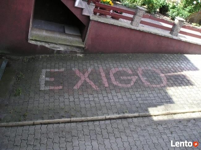 Zgorzelec sprzątanie /domy, biura, witryny/ mycie kostki bruk