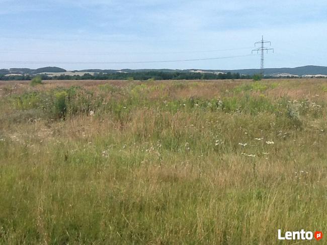 Działka 38 arów w dogodnym miejscu