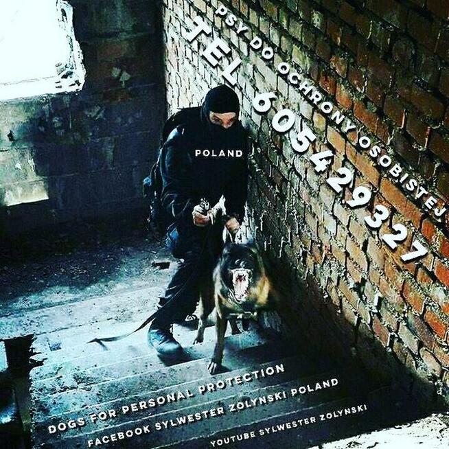 PROFESJONALNE SZKOLENIE PSÓW