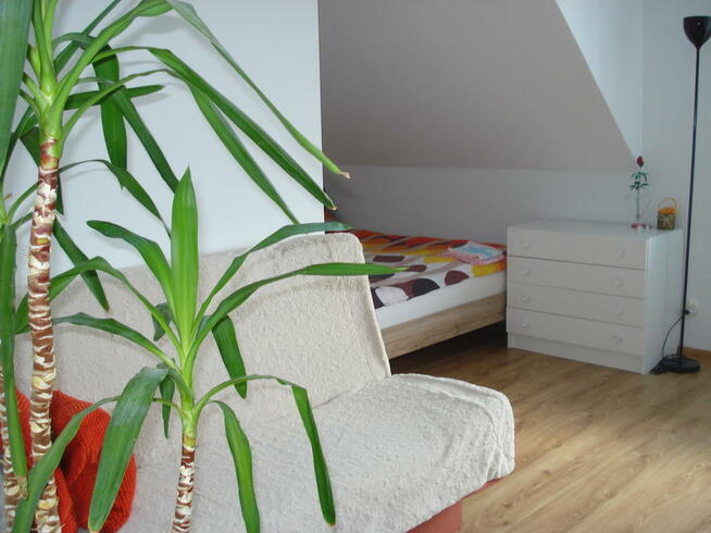 Noclegi Bielsk Podlaski Pokoje Gościnne