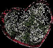 Poznam kobiete sympatyczną z klasą