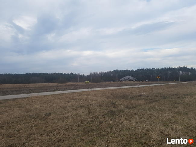 Działki Las Winiarski