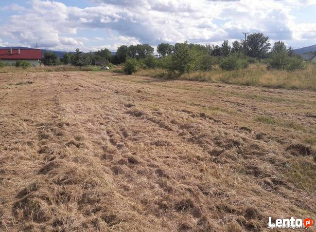 Działkę Żywiec ul. Leśnianka