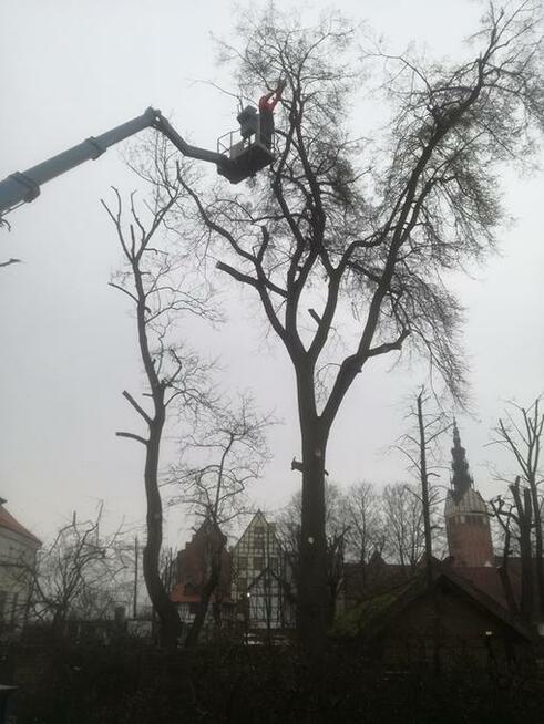 Prace wysokościowe Elbląg Pasłęk Malbork Gdańsk Sopot