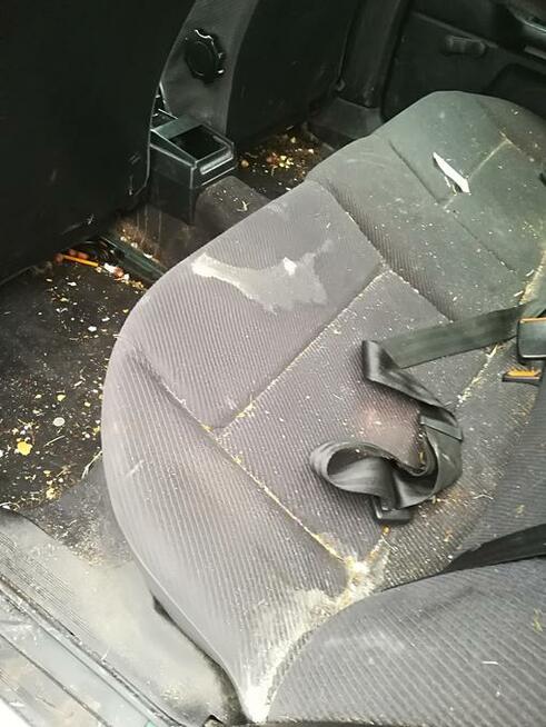 Pranie pranicerki samochodowej, dywanów i mebli. F-VAT