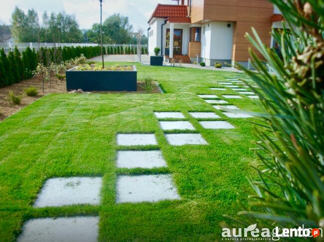 Zakładanie Ogrodu-> Pielęgnacja -> Profesionalnie