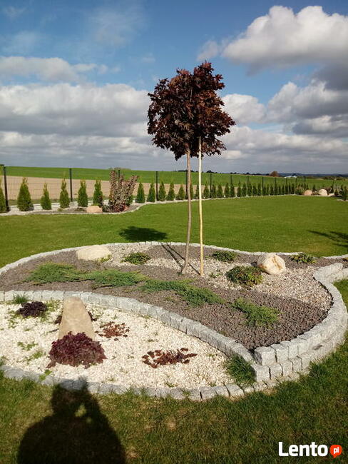 FIRMA usługi ogrodnicze ,,OGRODY-