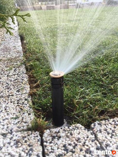 Usługi ogrodnicze trawa z rolki nawadnianie ogrodu trawnik