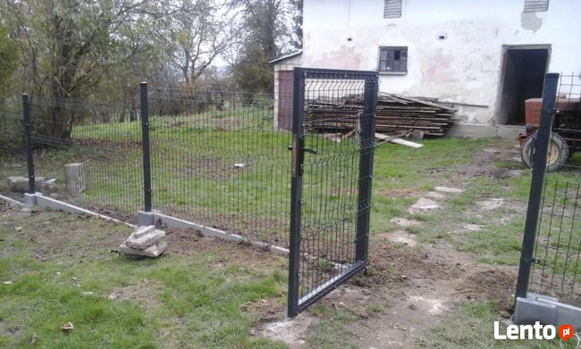 Panel ogrodzeniowy 3D 123x250cm ocynk + kolor z montażem