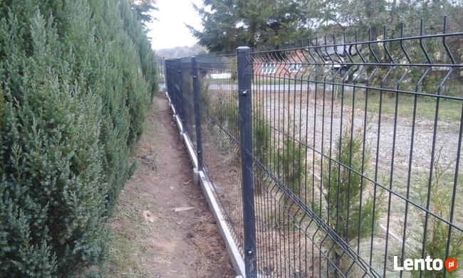Panel ogrodzeniowy 3D 123x250cm ocynk + kolor z montażem