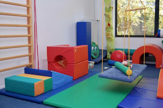 Integracja sens., t. pedagog., logopedia, autyzm ADOS