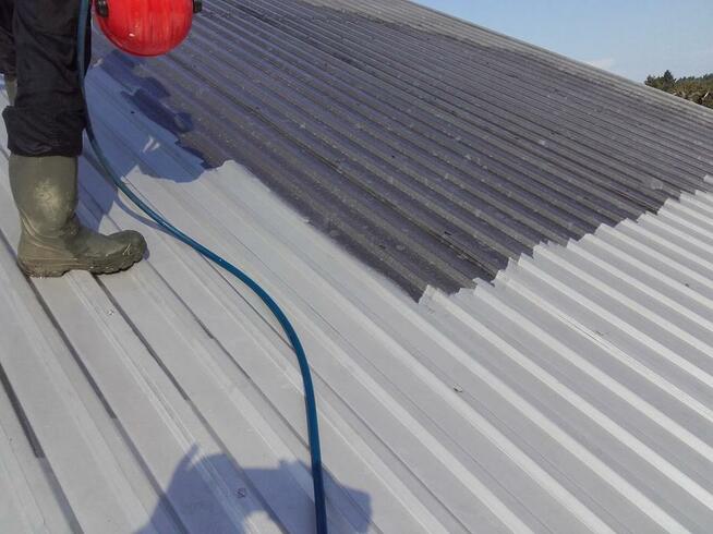 Mycie, dezynfekcja, bielenie kurnika, stajni, obory, hali...