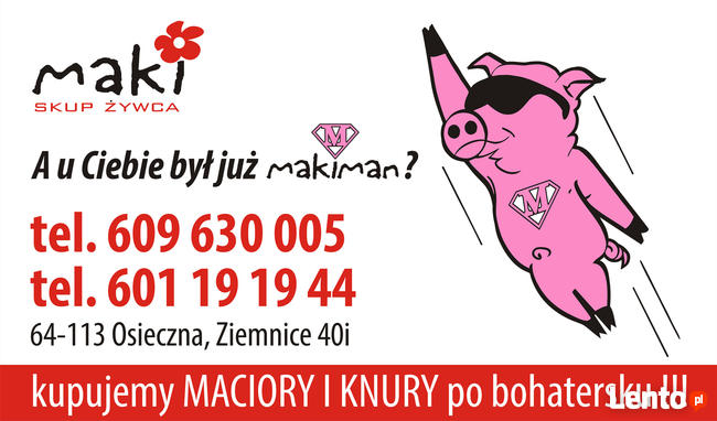 SKUP MACIOR I KNURÓW