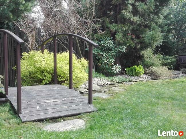 Formowanie żywopłotów na terenie piotrkowa i okolic